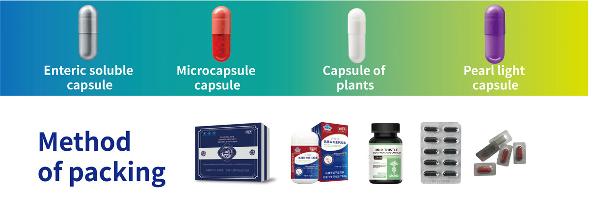 硬胶囊系列(英文）_画板-1_02