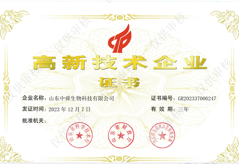 高新技术企业