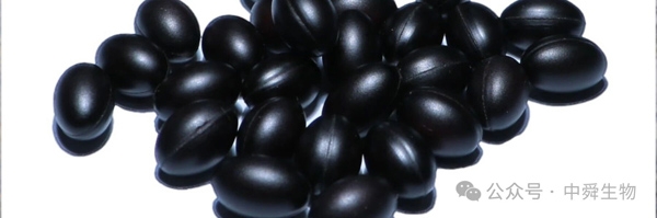 微信图片_2025-10-27_112850_536