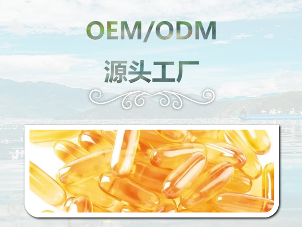 微信图片_20251103100328_499_12